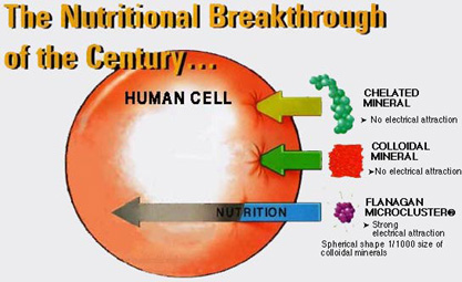 Nutritional Breakthrough - Microcluster, Microhydrin